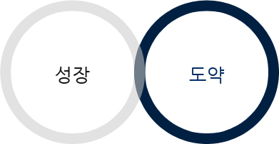 성장, 도약